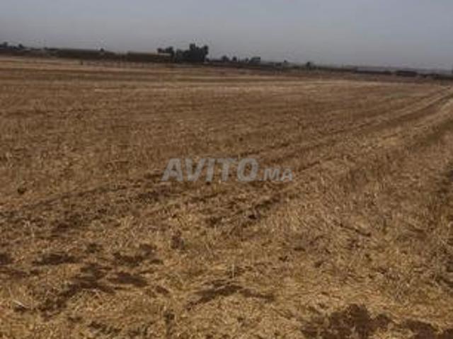 Propriété vente à Berrechid, Gharb-Chrarda-Beni Hssen