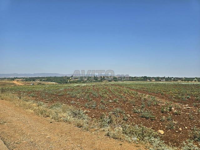 Propriété vente à Berrechid, Gharb-Chrarda-Beni Hssen