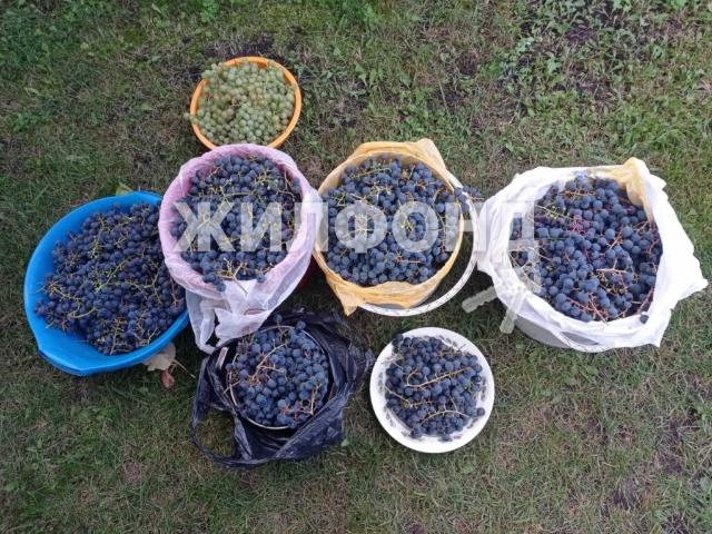 Квартира продажа в Новосибирская область