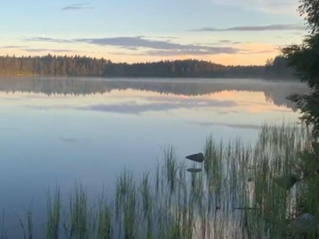 Квартира аренда в Ленинградская область