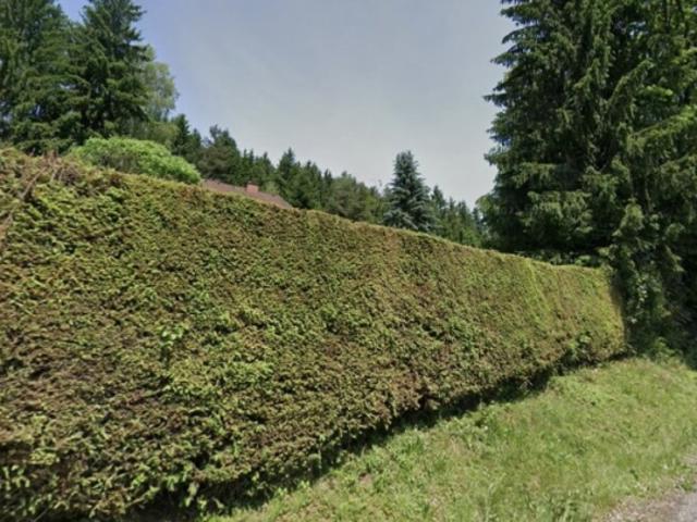 Grundstück kaufen in Gleisdorf, Steiermark