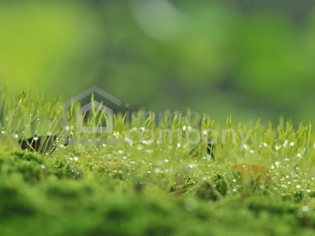 Grundstück kaufen in Eggendorf, Niederösterreich