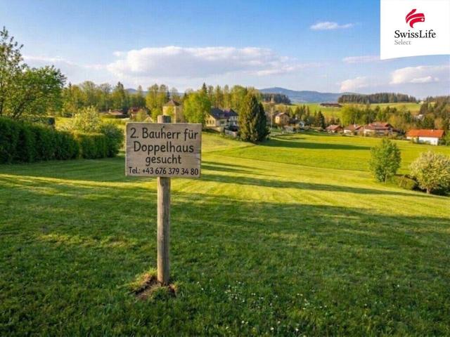 Immobilie kaufen in Hof bei Salzburg, Salzburg