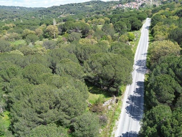 Bergama, İzmir içerisinde satılık Arsa