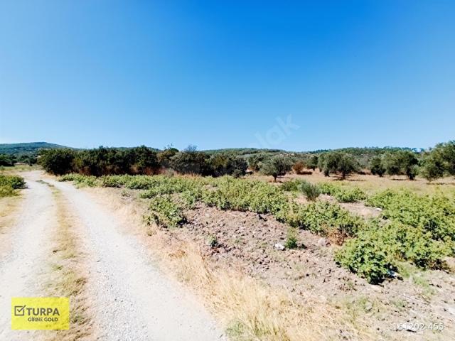 Çalıbahçe, Bergama içerisinde satılık mülk
