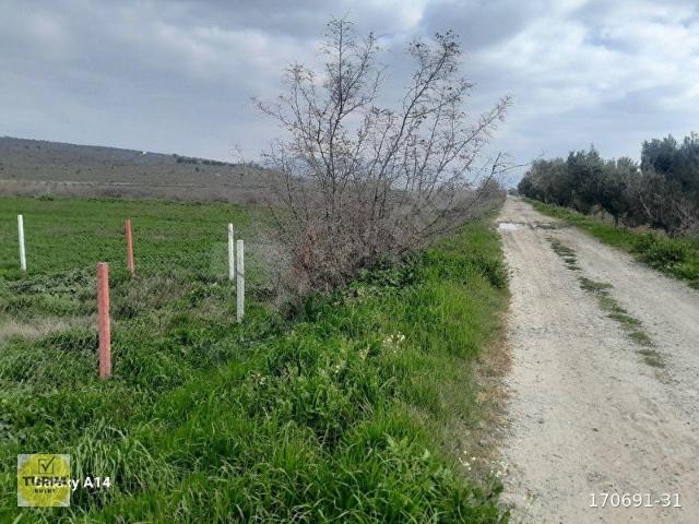 Bergama, İzmir içerisinde satılık Arsa