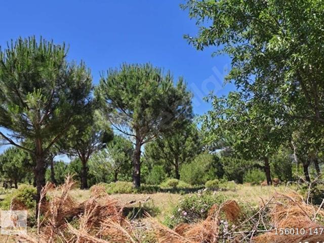 Bergama, İzmir içerisinde satılık Arsa