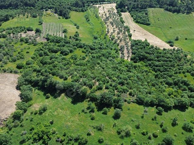 Bergama, İzmir içerisinde satılık Arsa