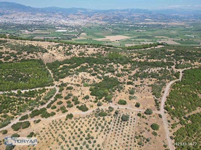 Kaşıkçı, Bergama içerisinde satılık Arsa
