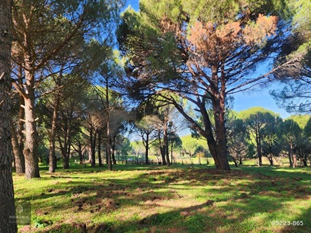 Bergama, İzmir içerisinde satılık mülk
