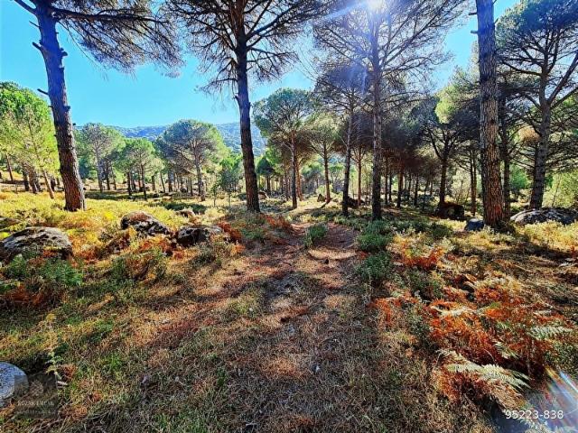 Hisarköy Mahallesi, Bergama içerisinde satılık mülk