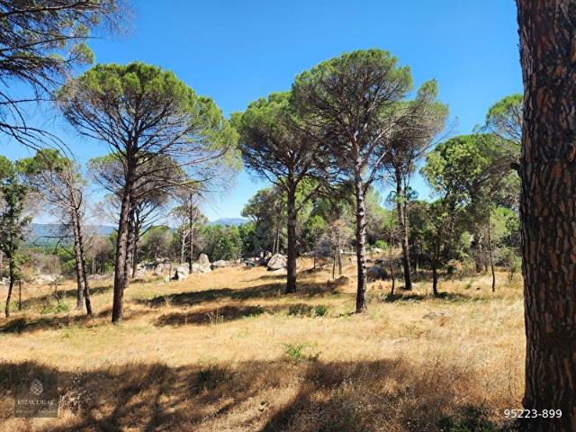 Bergama, İzmir içerisinde satılık Arsa