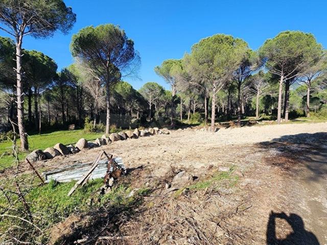 Demircidere Mahallesi, Bergama içerisinde satılık mülk