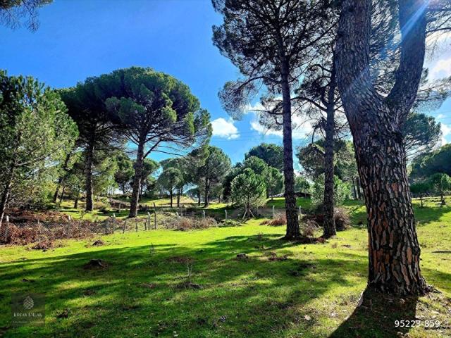 Bergama, İzmir içerisinde satılık Arsa