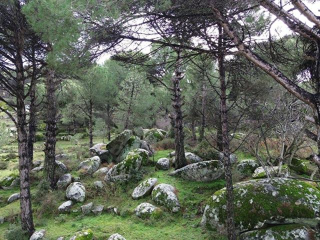 Bergama, İzmir içerisinde satılık Arsa