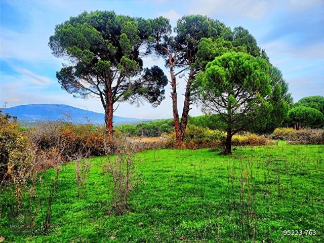 Bergama, İzmir içerisinde satılık mülk