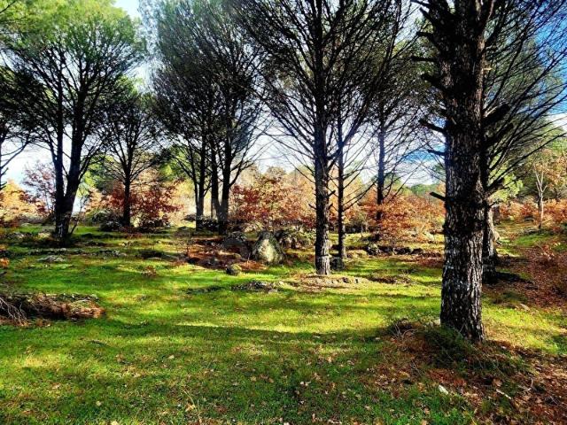 Kıranlı Mahallesi, Bergama içerisinde satılık Arsa