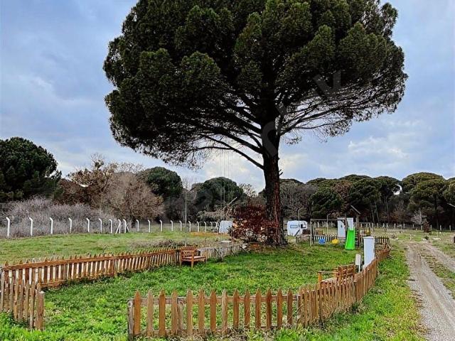 Bergama, İzmir içerisinde satılık mülk
