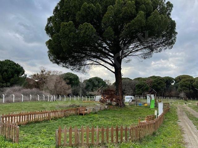 Bergama, İzmir içerisinde satılık mülk