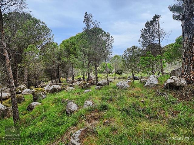 Bergama, İzmir içerisinde satılık mülk