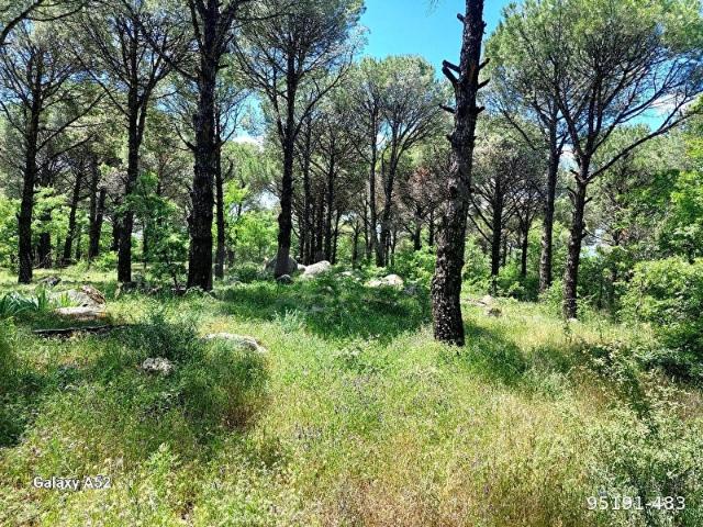 Bergama, İzmir içerisinde satılık Arsa