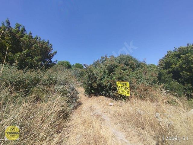 Bergama, İzmir içerisinde satılık mülk