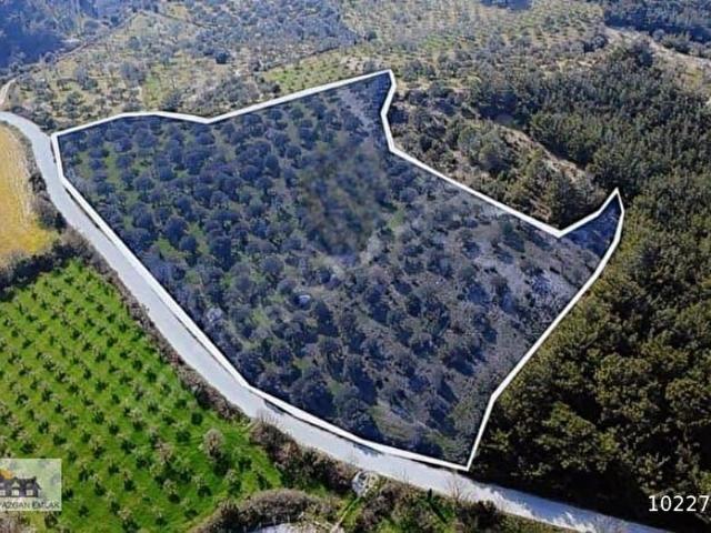 Bergama, İzmir içerisinde satılık mülk