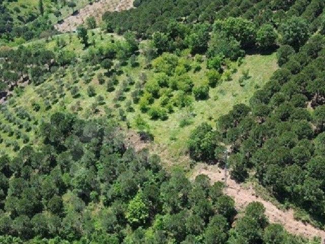 Yukarıada Mahallesi, Bergama içerisinde satılık Arsa