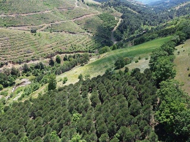 Bergama, İzmir içerisinde satılık mülk