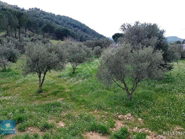 Bergama, İzmir içerisinde satılık Arsa