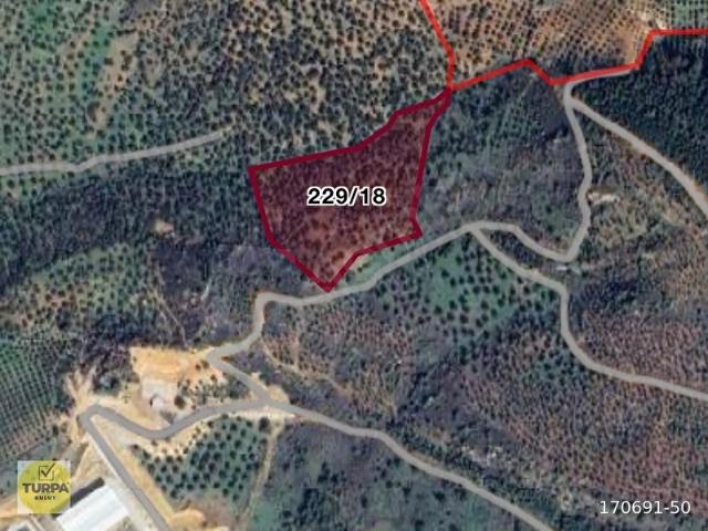 Bergama, İzmir içerisinde satılık mülk
