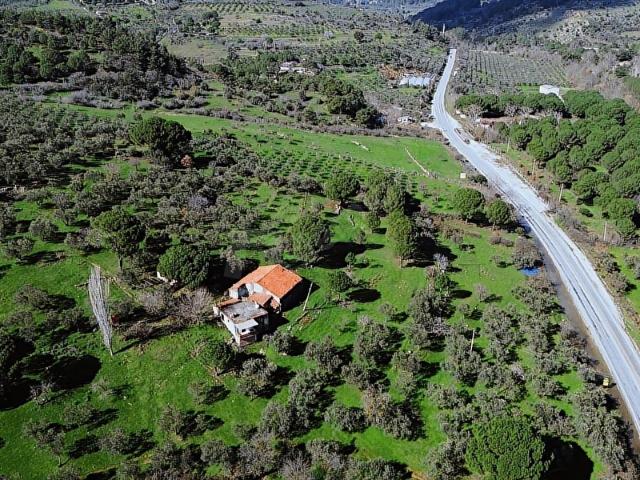 Bergama, İzmir içerisinde satılık mülk