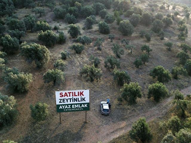 Bergama, İzmir içerisinde satılık mülk