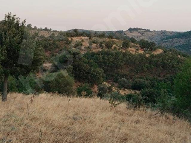 Yalnızdam Mahallesi, Bergama içerisinde satılık Arsa