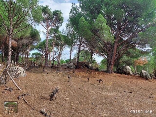 Bergama, İzmir içerisinde satılık Arsa