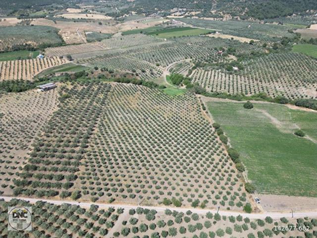 Bergama, İzmir içerisinde satılık Arsa