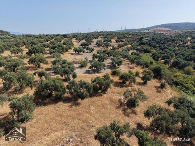 Bergama, İzmir içerisinde satılık mülk