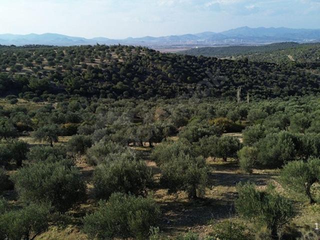 Bergama, İzmir içerisinde satılık Arsa