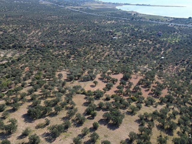 Bergama, İzmir içerisinde satılık mülk