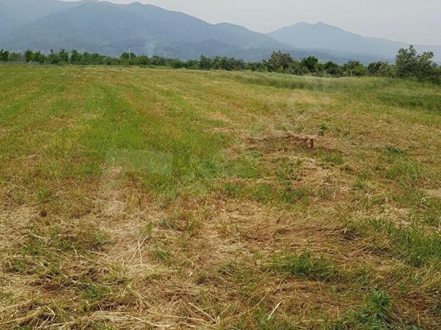 Yalnızev Mahallesi, Bergama içerisinde satılık Arsa