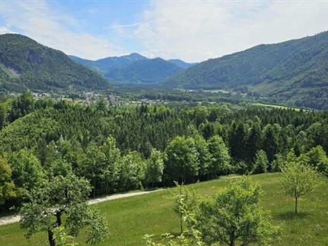 Bauernhaus kaufen in St. Gallen, Steiermark