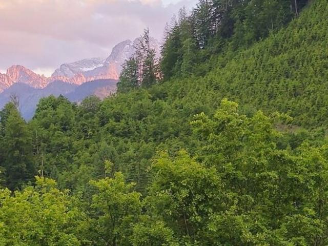 Bauernhaus kaufen in St. Gallen, Steiermark