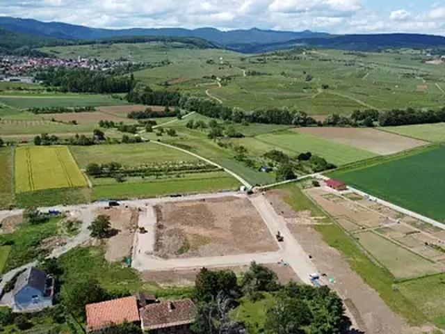 Terrain vente à Thann-Guebwiller, Bergholtz
