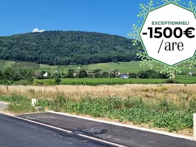 Terrain vente à Thann-Guebwiller, Bergholtz