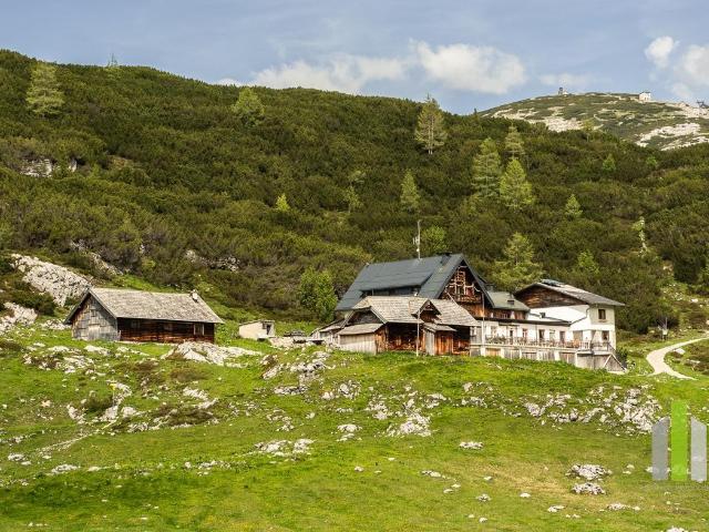 Haus kaufen in Obertraun, Oberösterreich