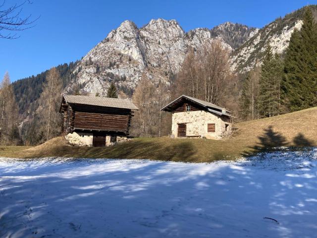 Haus kaufen in Bichl, Trins