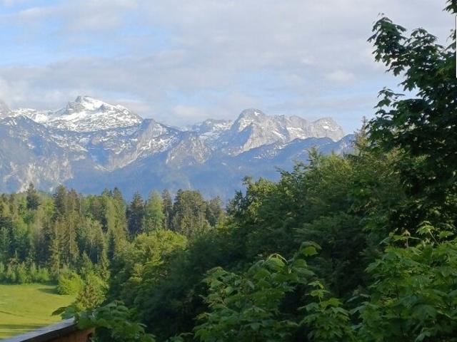 Einfamilienhaus kaufen in Salzburg
