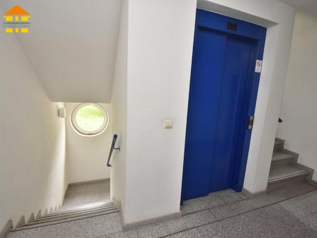 Apartment mieten in Schloßchemnitz, Chemnitz