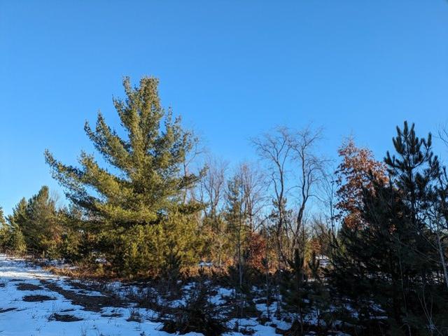 Land for sale in Kaleva, Michigan