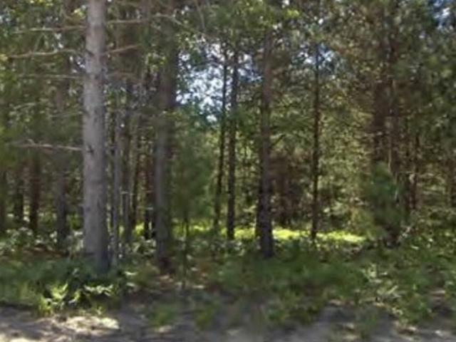 Land for sale in Kaleva, Michigan